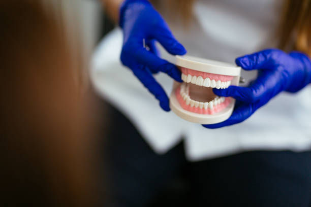 Best Preventive Dentistry  in Shady Hills, FL